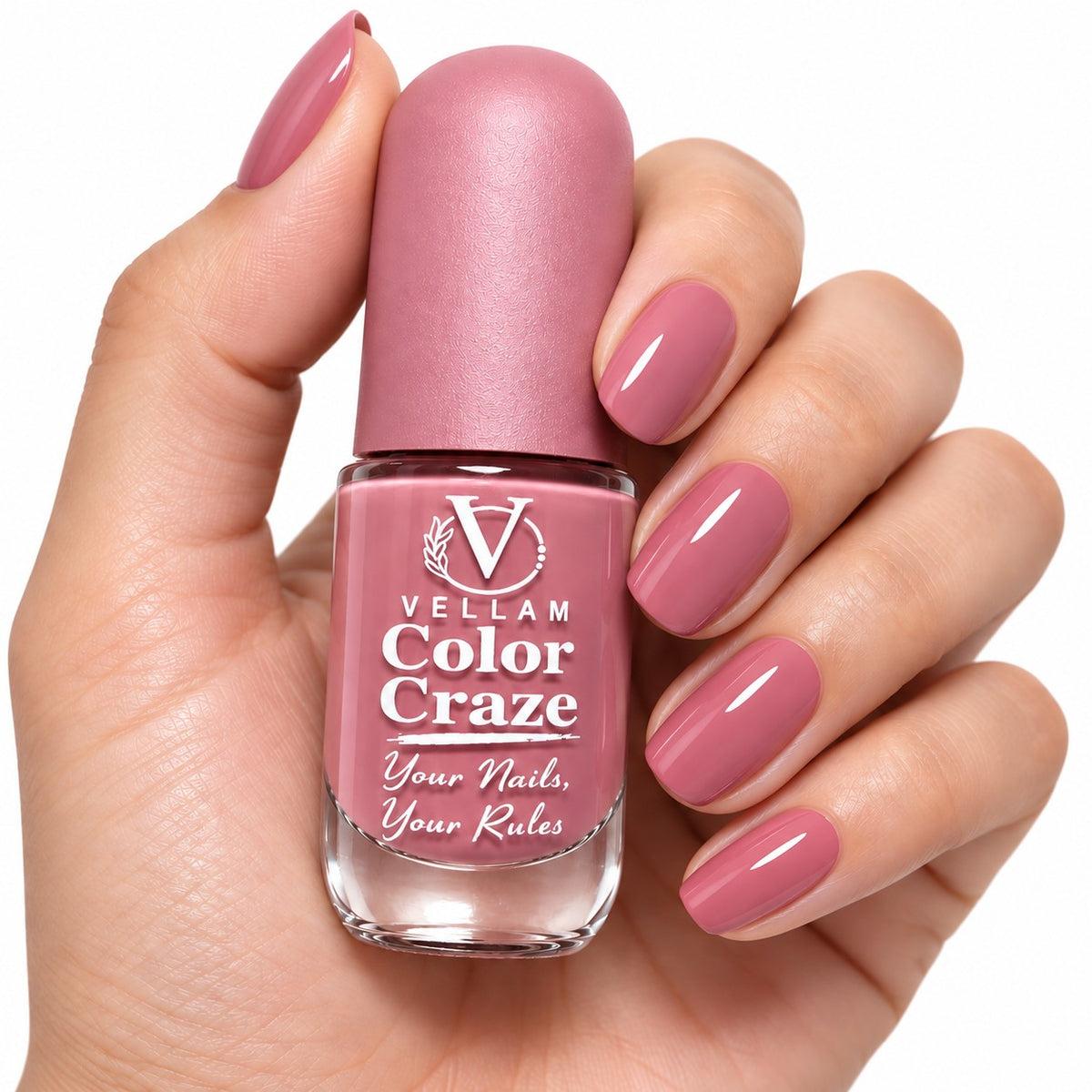 VELLAM Color Craze Nail Paints 10g Each - Shade 17,39,47