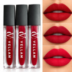 VELLAM Moody vibe Liquid Matte Lipstick Combo of 3 in 1 Pack- Shade 05,08,20